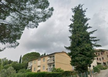 Foto 1 - Appartamento Via Ombrone
 
6, Campagnatico - foto 1