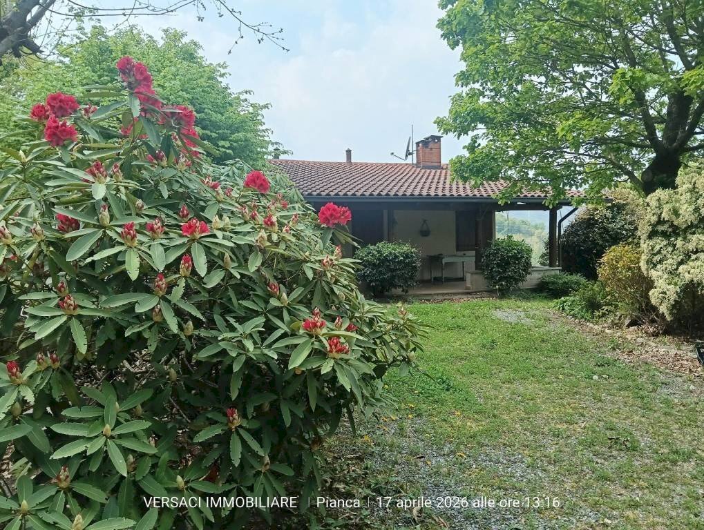 Giardino - Villa via Piave, 5, Trana - foto 1