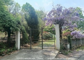 Giardino - Villa via Piave, 5, Trana - foto 2