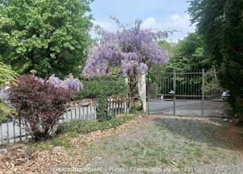 Terreno - Villa via Piave, 5, Trana - foto 5