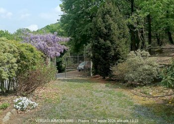 Giardino - Villa via Piave, 5, Trana - foto 15