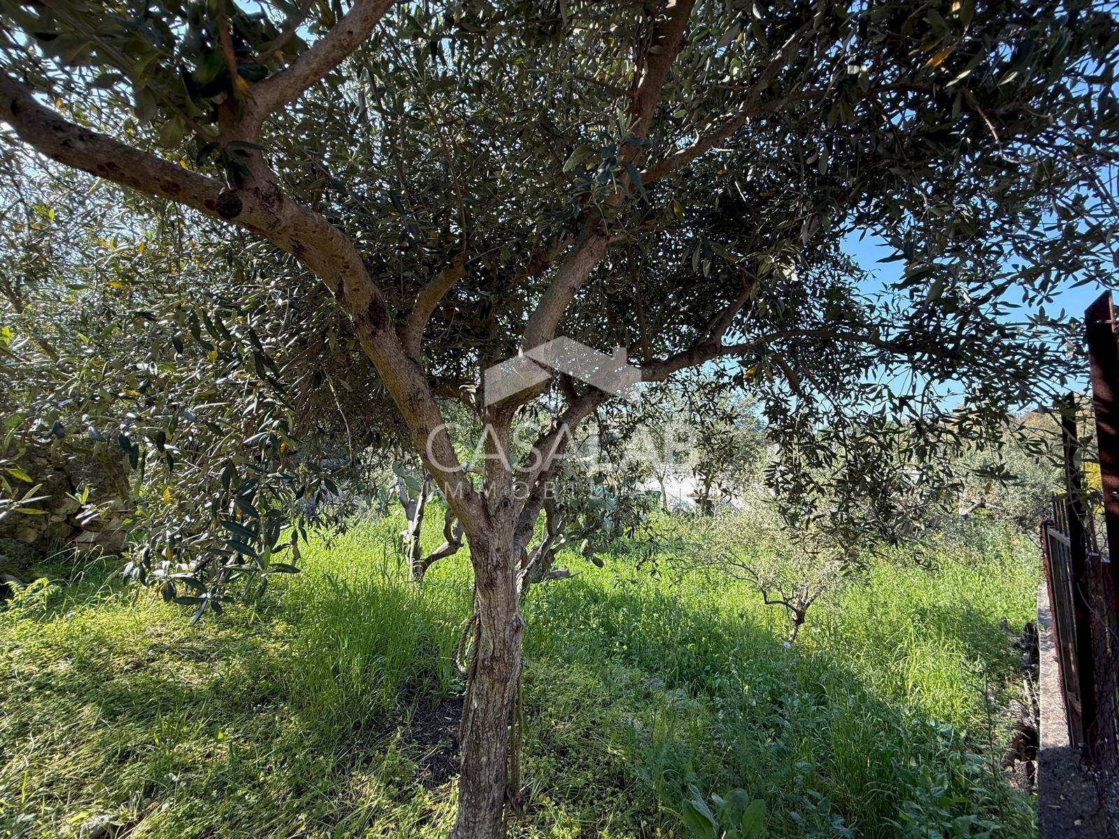 Foto 1 - Terreno edificabile via Moscala
 
snc, Carini - foto 1