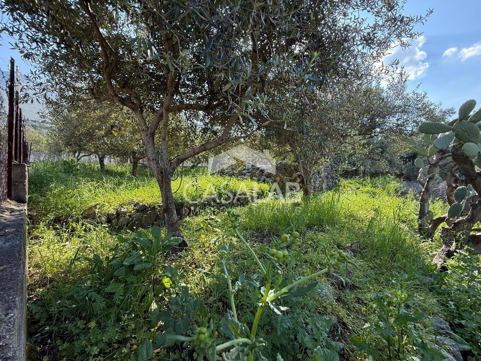 Foto 2 - Terreno edificabile via Moscala
 
snc, Carini - foto 2