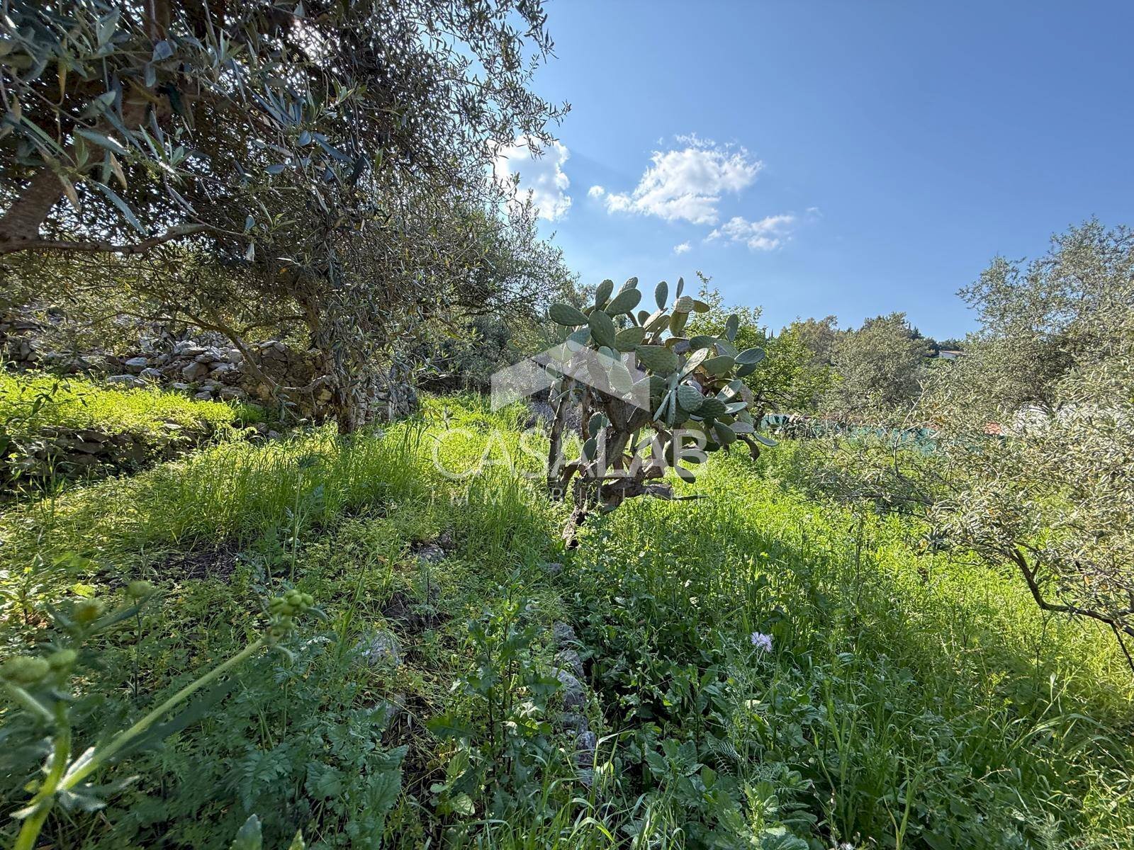 Foto 3 - Terreno edificabile via Moscala
 
snc, Carini - foto 3