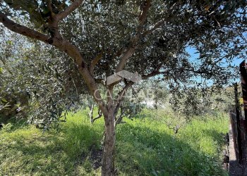 Foto 1 - Terreno edificabile via Moscala
 
snc, Carini - foto 1