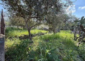 Foto 2 - Terreno edificabile via Moscala
 
snc, Carini - foto 2