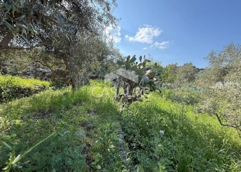 Foto 3 - Terreno edificabile via Moscala
 
snc, Carini - foto 3