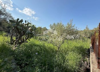 Foto 4 - Terreno edificabile via Moscala
 
snc, Carini - foto 4