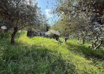 Foto 5 - Terreno edificabile via Moscala
 
snc, Carini - foto 5