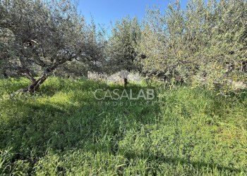 Foto 8 - Terreno edificabile via Moscala
 
snc, Carini - foto 8