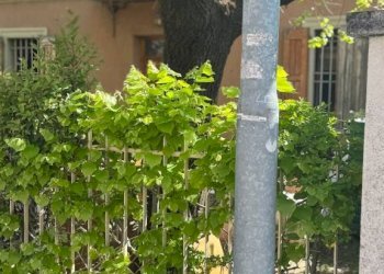 Giardino - One-room apartment via Baiesi, 28, Anzola dell'Emilia - photo 21