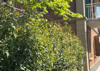 Giardino - One-room apartment via Baiesi, 28, Anzola dell'Emilia - photo 22