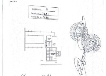Foto 42 - Trilocale Copernico
 
43, Cologno Monzese - foto 42