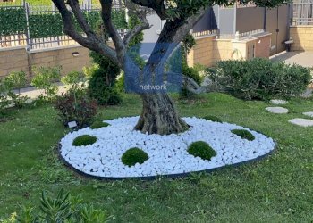 Foto 20 - Casa semi indipendente via Giuseppe Zanardelli, Pomezia - foto 20