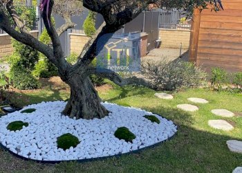 Foto 29 - Casa semi indipendente via Giuseppe Zanardelli, Pomezia - foto 29