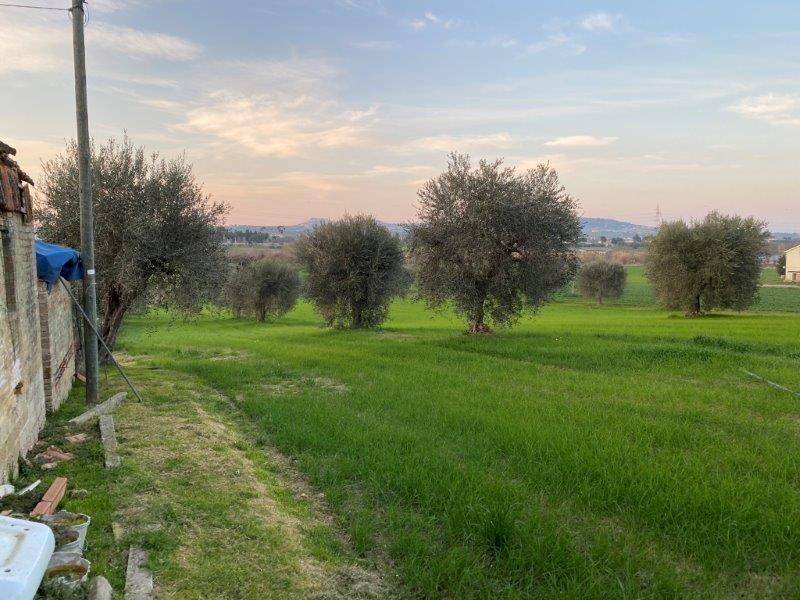 Foto 3 - Agricultural land Via del vecchio forte
 
snc, Alba Adriatica - photo 3