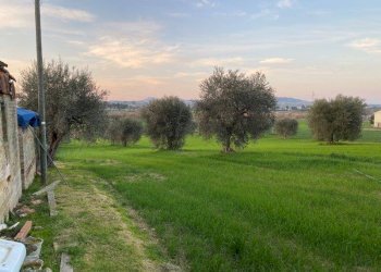 Foto 3 - Agricultural land Via del vecchio forte
 
snc, Alba Adriatica - photo 3