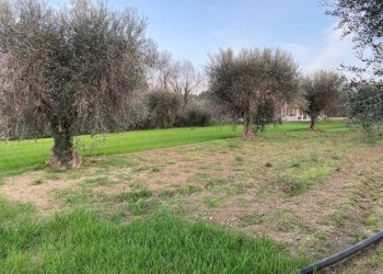 Foto 4 - Agricultural land Via del vecchio forte
 
snc, Alba Adriatica - photo 4
