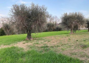 Foto 5 - Agricultural land Via del vecchio forte
 
snc, Alba Adriatica - photo 5