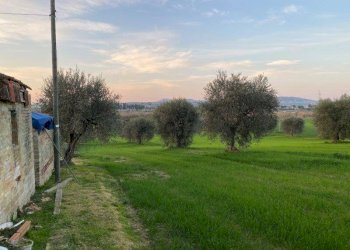 Foto 7 - Agricultural land Via del vecchio forte
 
snc, Alba Adriatica - photo 7