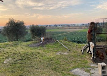 Foto 8 - Agricultural land Via del vecchio forte
 
snc, Alba Adriatica - photo 8