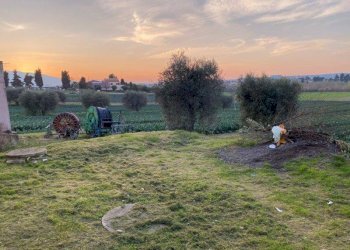 Foto 9 - Agricultural land Via del vecchio forte
 
snc, Alba Adriatica - photo 9