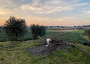Foto 10 - Agricultural land Via del vecchio forte
 
snc, Alba Adriatica - photo 10