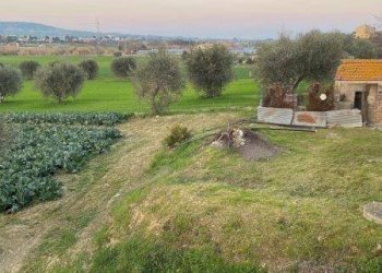 Foto 21 - Agricultural land Via del vecchio forte
 
snc, Alba Adriatica - photo 21