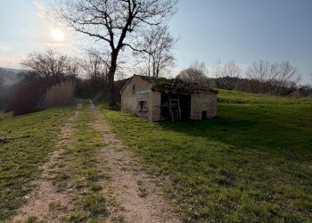 Foto 26 - Independent house C.da San Rocco, Tolentino - photo 26