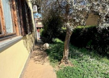 Giardino - Villa via Pietro Secchia, 11, Occhieppo Superiore - photo 40