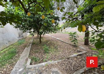 Foto 17 - Casa indipendente Via Grassi
 
1, Caserta - foto 17