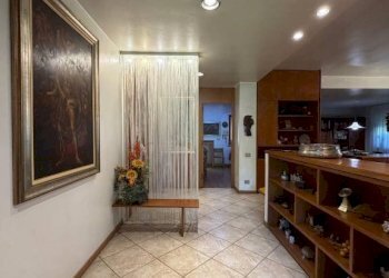 Ingresso - Villa viale Bruno Buozzi, Vinovo - foto 7