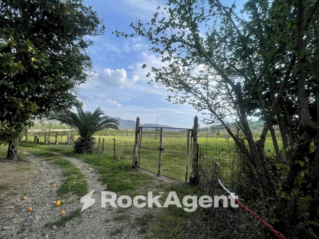 Terreno - Terreno agricolo contrada Salella, San Cipriano Picentino - foto 1