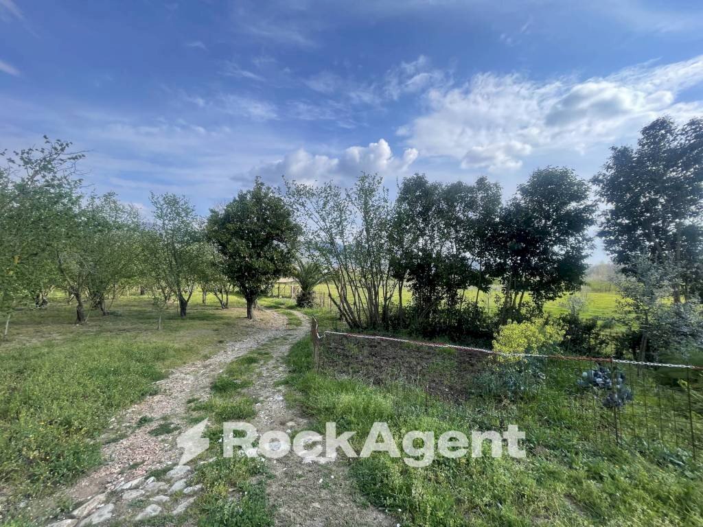 Terreno - Terreno agricolo contrada Salella, San Cipriano Picentino - foto 2