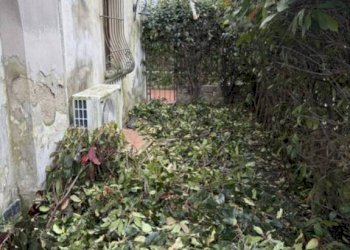 Giardino - Villa a Schiera via Oglio, 15, Montemurlo - foto 4