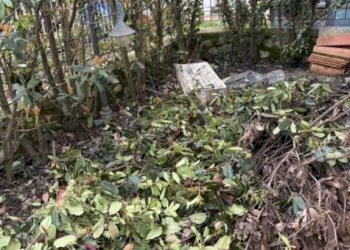 Giardino - Villa a Schiera via Oglio, 15, Montemurlo - foto 6