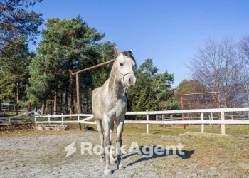 Terreno - Rustico Borgata Veneria, 36, Giaveno - foto 27