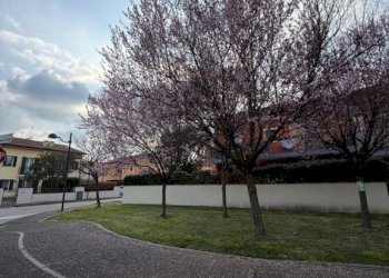 Zona - Appartamento via Monte Fasolo, 2, Abano Terme - foto 29