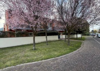 Giardino - Appartamento via Monte Fasolo, 2, Abano Terme - foto 34