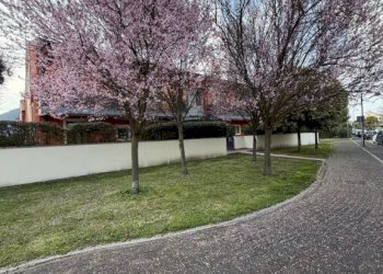 Giardino - Appartamento via Monte Fasolo, 2, Abano Terme - foto 35