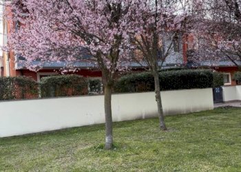 Giardino - Appartamento via Monte Fasolo, 2, Abano Terme - foto 37