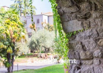 Giardino - Hotel via Vallecupa, 68, Viterbo - photo 6