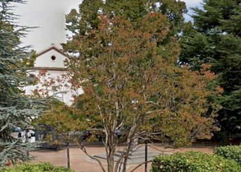 Giardino - Casa indipendente viale Jequiè, 26, Trecchina - foto 3