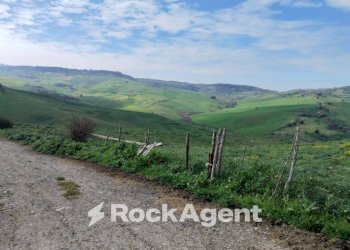 Terreno - Terreno agricolo Contrade Carminello e Catena, Calascibetta - foto 4