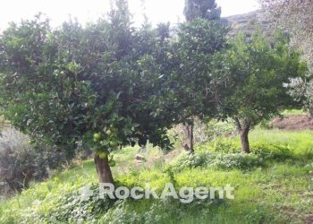 Terreno - Rustic contrada Pantano, Reitano - photo 32