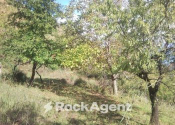 Terreno - Rustic contrada Pantano, Reitano - photo 33