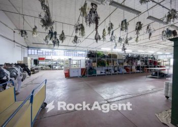 Interno non residenziale - Ufficio via Marco Polo, 105, Bientina - foto 29