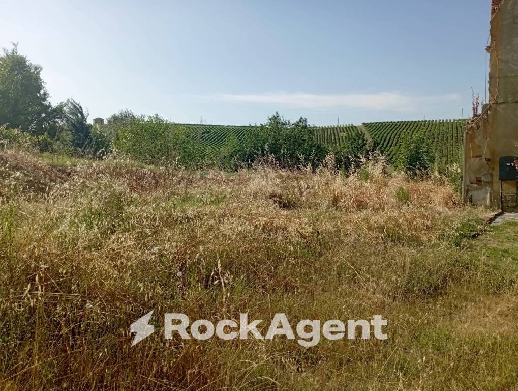 Terreno - Terreno agricolo Frazione Camporello 7/8, San Damiano al Colle - foto 1