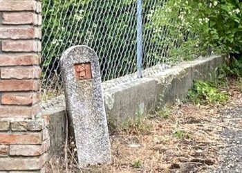 Terreno - Stabile - Palazzo strada Terenzo - Bardone, Terenzo - foto 15