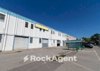 Zona - Negozio viale Lucrezia della Valle, Catanzaro - foto 4